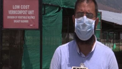 Govt reviving vermicompost culture to produce organic vegetables in Kashmir