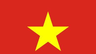 Vietnam flag
