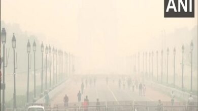 NDMC challans 1,761 polluters for Rs 38.43 lakh for burning garbage