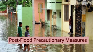 Personal health and safety precautions to take post flood