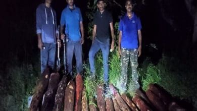 Police seizes 16 logs of red sanders in Andhra's Chittoor
