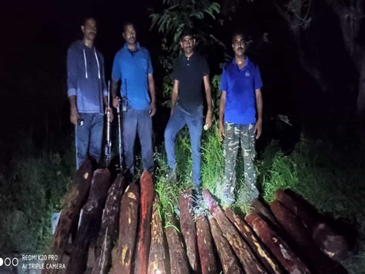 Police seizes 16 logs of red sanders in Andhra's Chittoor