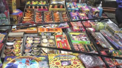 Firecrackers