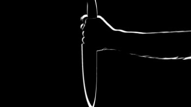 Man fatally stabbed during a brawl in Delhi