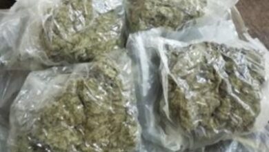 NCB raids producer Firoz Nadiadwala's home, nabs wife with drugs