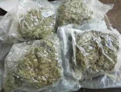 Rs 24 lakh drug racket busted in Bengaluru, 3 held