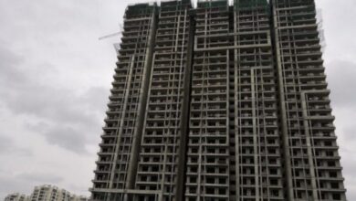 real estate sector