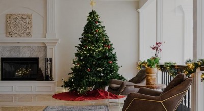 Christmas stars shine bright in Andhra's Godavari