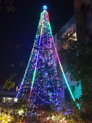 Covid curbs for X'mas, New Year revelry in Bengaluru