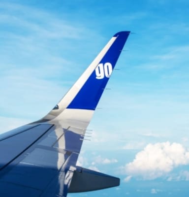 GoAir cargo fight carries passengers, DGCA launches probe