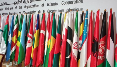 OIC always sides with Islamabad's stand on Kashmir: PoK Prez