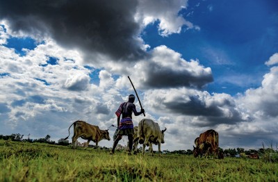 Three farm laws single major deadlock between govt and farmers