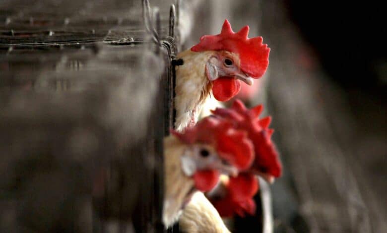 GBS outbreak in MP