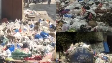 Hyderabad: Heaps of garbage piled up on roads causes fear