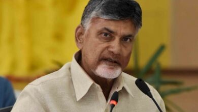Constitution being violated in Andhra: Chandrababu Naidu