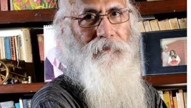 Indian economy may contract 25 per cent in current fiscal: Economist Arun Kumar