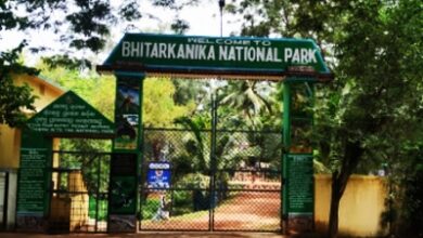 Odisha's Bhitarkanika National Park reopens