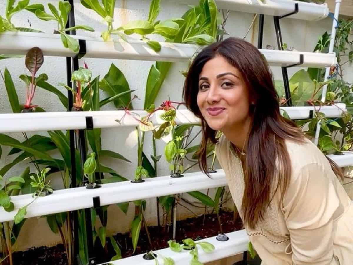 Watch: Shilpa Shetty and her hydroponic farm