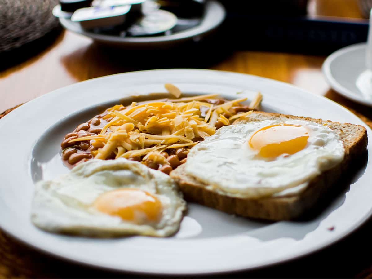 egg
