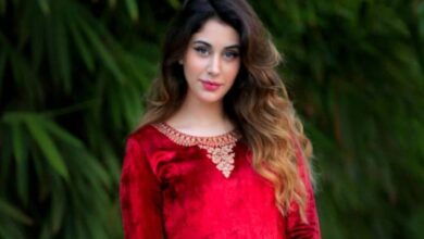 Loveyatri actress Warina Hussain enters Tollywood, set to fly Hyderabad soon