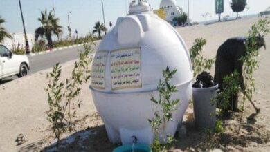Saudi citizen’s kind initiative helps animals, birds beat the heat