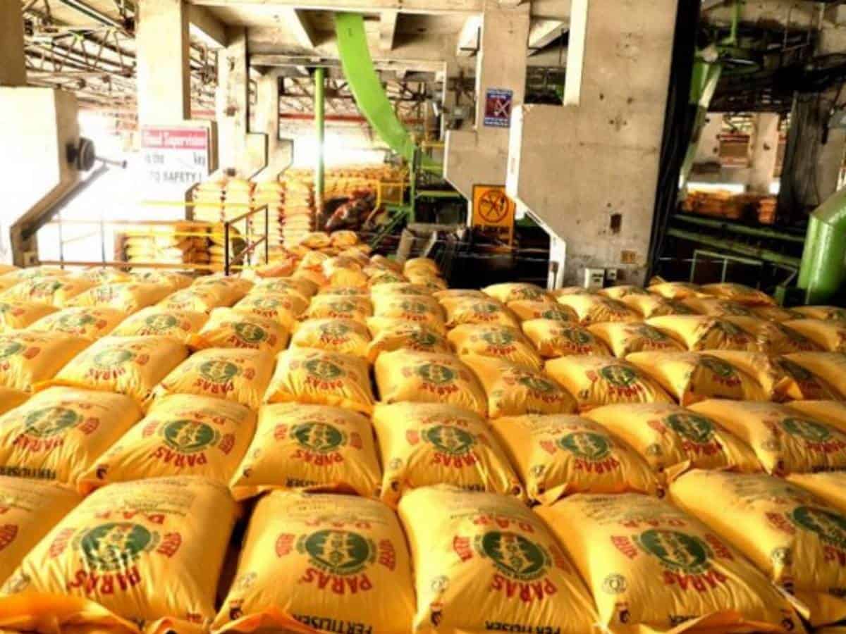 Additional Budget allocation to wipe out fertiliser subsidy backlog: Ind-Ra