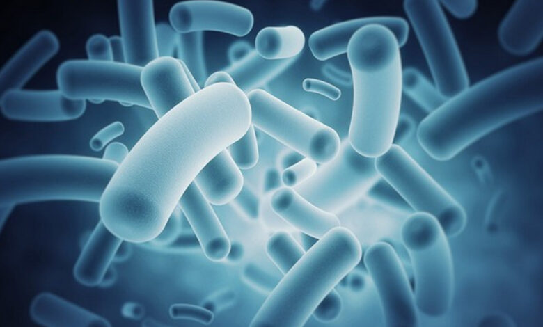 Scientist engineered bacteria to generate electricity from wastewater