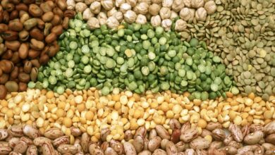 After flour, prices of pulses going up in Pakistan