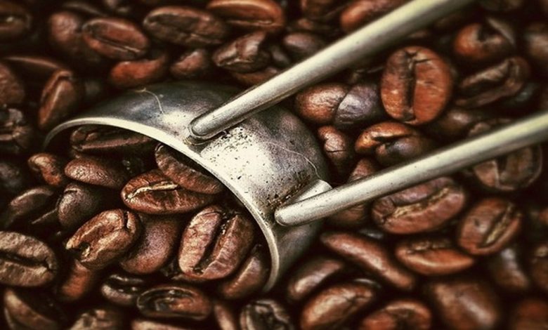 Coffee waste can boost forest recovery: Study
