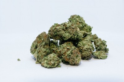 45kg marijuana recovered in J&K in 24 hours