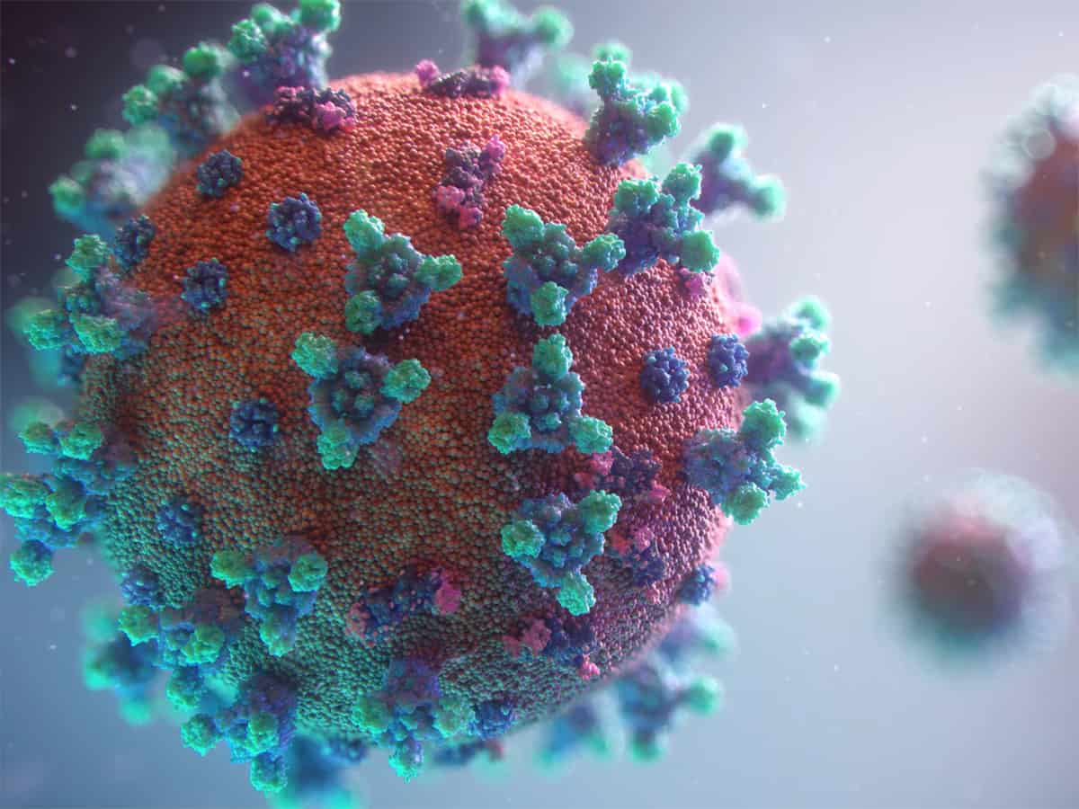 This is how coronavirus jump from species to species