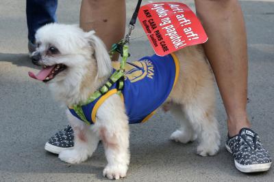 'Dog in the car' helped police in nabbing murder accused