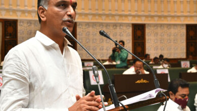 Health minister T Harish Rao (file)