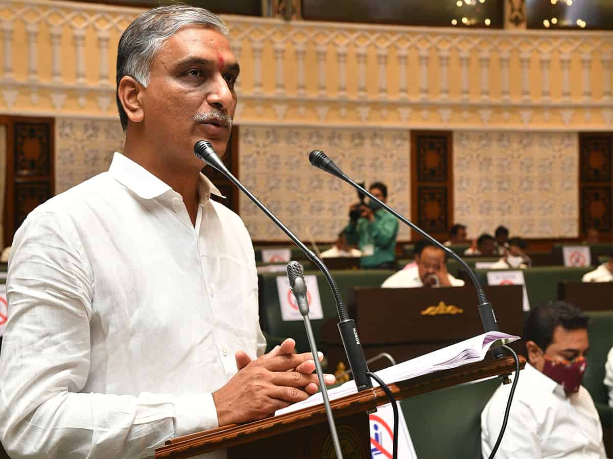 Health minister T Harish Rao (file)