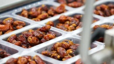Dubai to get world's biggest privately-owned date factory