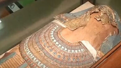mummy of Princess Naishu in Hyderabad