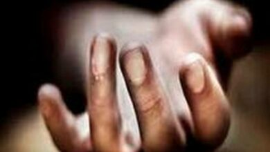 Man kills another in Andhra's Krishna district after being provoked by relatives