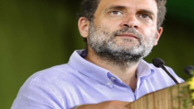 Centre trying to crush Tamil culture, language and history: Rahul Gandhi