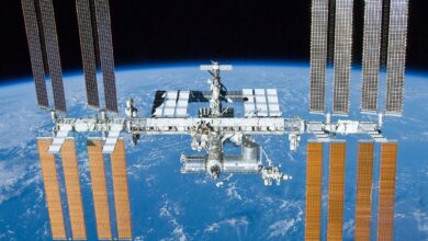 Researchers to culture living heart cells on space station