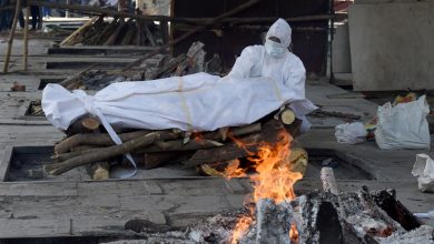 Covid claims 17 more lives in Andhra Pradesh