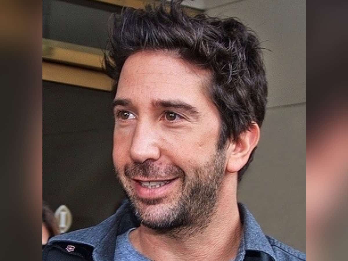 David Schwimmer's all set to meet his 'Friends'