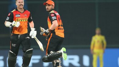 Warner handled SRH management's decision to remove him as captain with class, says Haddin