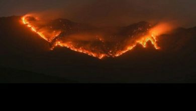 Forest fire destroys 46 homes in Chile, kills one person