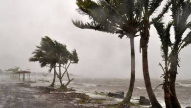 Two cyclones to hit western Australia simultaneously in rare event: Meteorologists