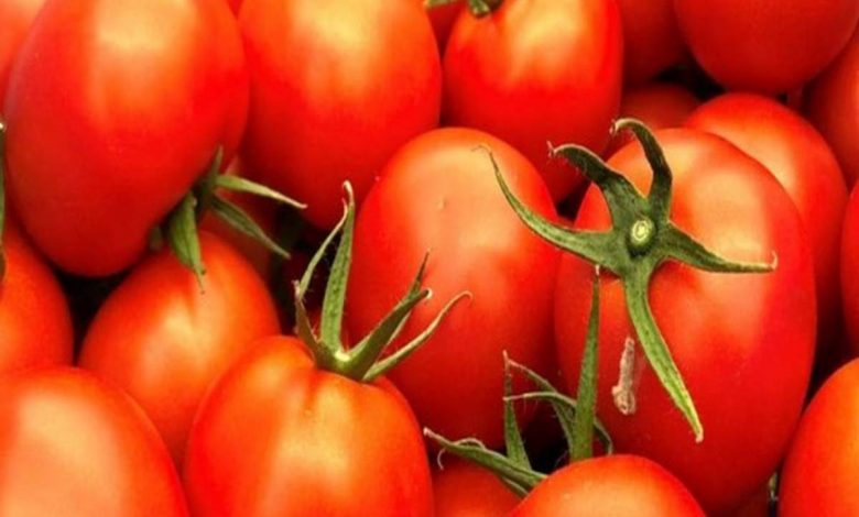 Japan's ketchup producer stop Xinjiang tomato imports over rights abuse