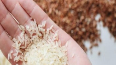 Food fortification, a potent way to fight hidden hunger