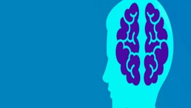 Nerve cell activity shows how confident individuals are