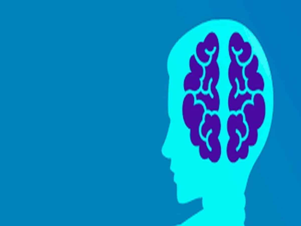 Nerve cell activity shows how confident individuals are