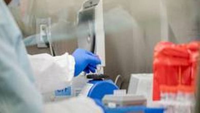 Turkey reports 39,302 new COVID-19 cases, 3,317,182 in total