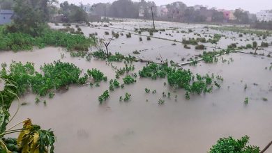 New Zealand appoints ministers in charge of cyclone response